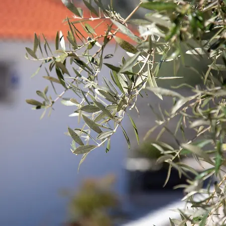 Casa Della Nonna דירה *